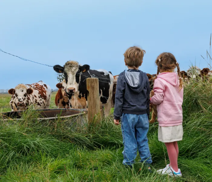 fattoria didattica Dormire vicino a Zoom Torino Bambini che interagiscono con gli animali nella fattoria didattica, un'esperienza imperdibile per chi sceglie di dormire vicino a Zoom Torino